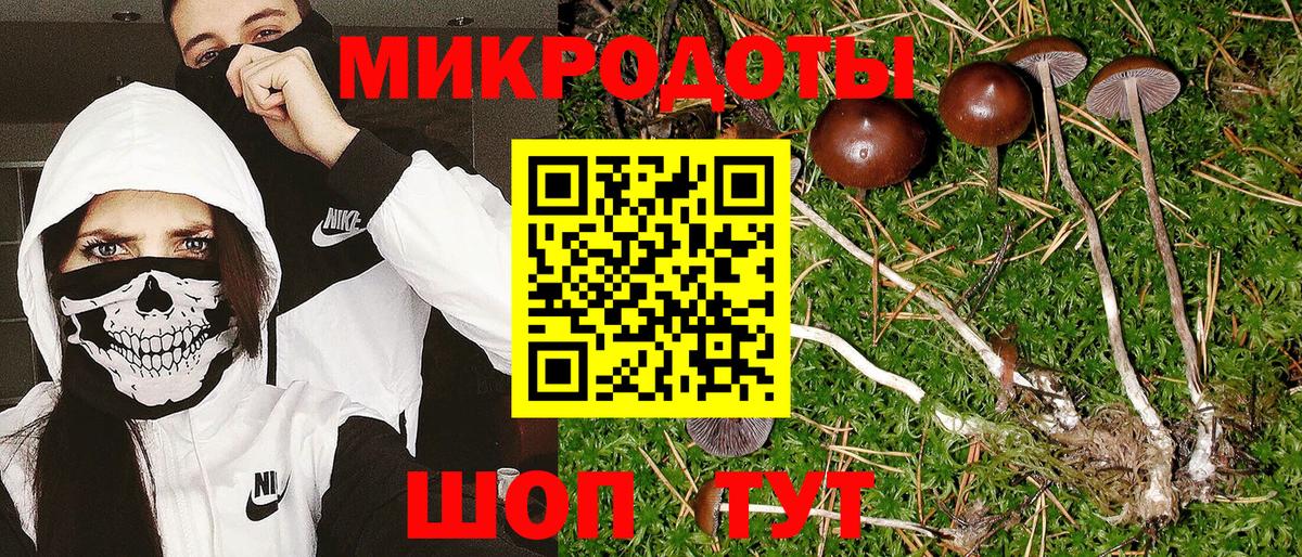Каспийск  Галлюциногенные грибы ЛСД  Вход с VPN 