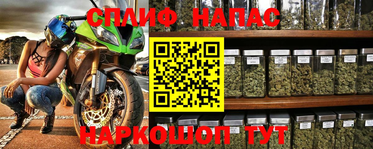 Конопля конопля Каспийск